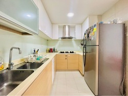 The Belvedere (D15), Condominium #503612381